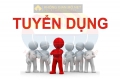 CÔNG TY KHÔNG GIAN MỞ TUYỂN DỤNG HỌA VIÊN - KV ĐẢO TUẦN CHÂU, HẠ LONG